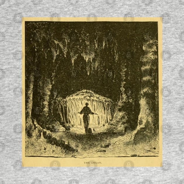 THE ORGAN - Cavern Illustration Vintage by maxberube